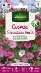 Fleurs - Cosmos Sensation Varié - PACKAGING_RECTO